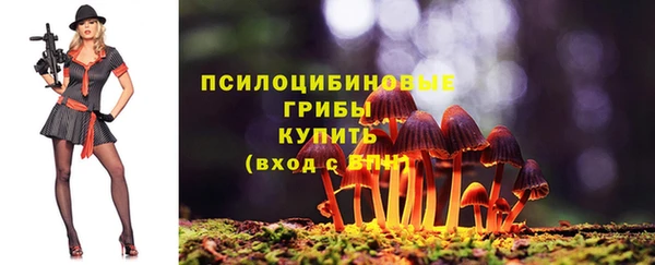 прущие грибы Нягань
