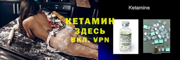 прущие грибы Нягань