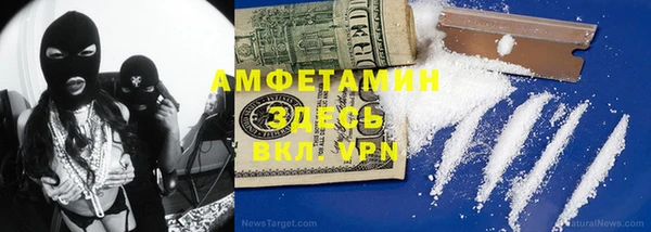 прущие грибы Нягань