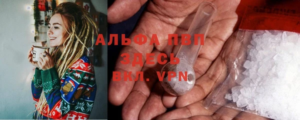 прущие грибы Нягань