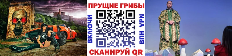наркота  Мышкин  Галлюциногенные грибы Psilocybe 